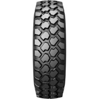 BELSHINA BEL-248