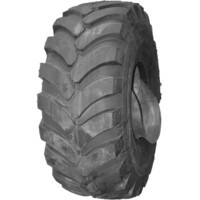 BELSHINA ФБел-247-1